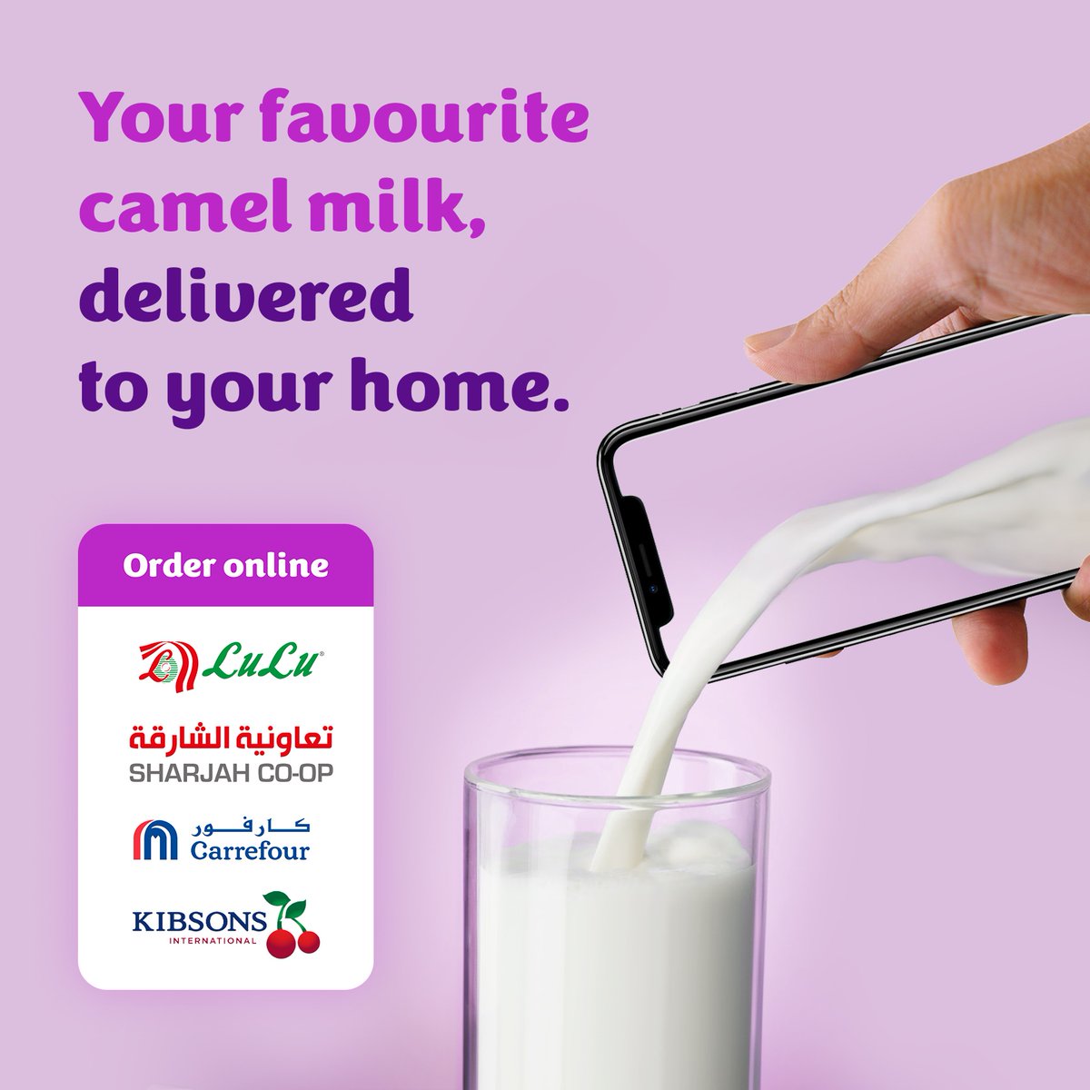 Camelicious tweet media