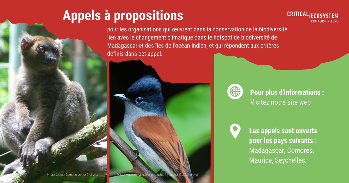 SAF_FJKM's tweet photo. 📢 🌱 Notre appel à propositions #CEPF est maintenant ouvert pour  les propositions de  subventions des projets dans le hotspot de #biodiversité de #Madagascar et des îles de l'océan Indien. 🌳

En savoir plus : 
LG : https://t.co/OhnBGsvvCU
SG : https://t.co/qqL16JIw91

#CEPF https://t.co/eEuoBIu6o2