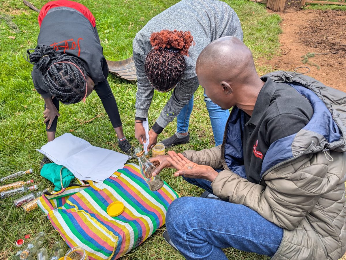 malamacowiti's tweet image. Despite legal protections, the Ogiek have historically faced displacement from their ancestral lands due to land grabs, conservation policies, and agricultural expansion. Their traditional lands are often claimed by the state or private entities.
#KilimoHaiKE @KariobangiSJC