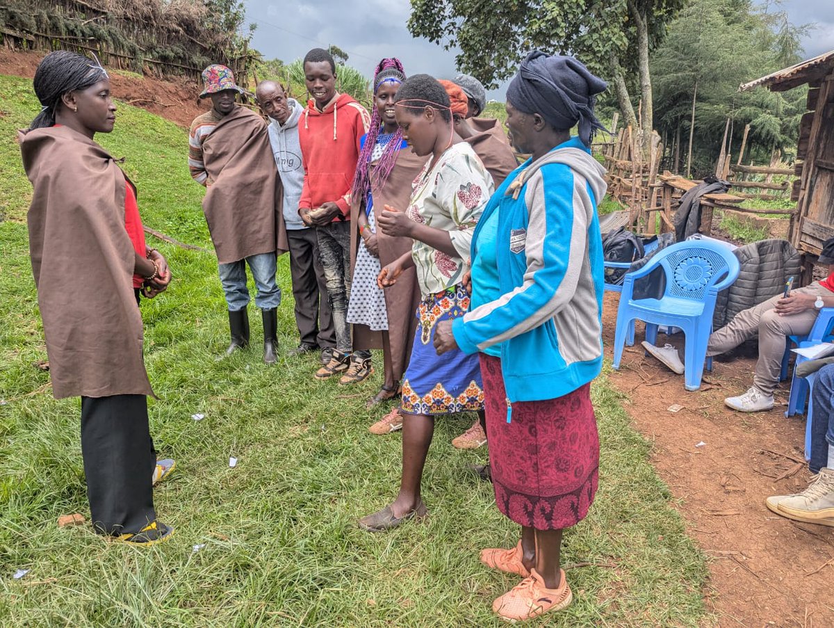 malamacowiti's tweet image. Despite legal protections, the Ogiek have historically faced displacement from their ancestral lands due to land grabs, conservation policies, and agricultural expansion. Their traditional lands are often claimed by the state or private entities.
#KilimoHaiKE @KariobangiSJC