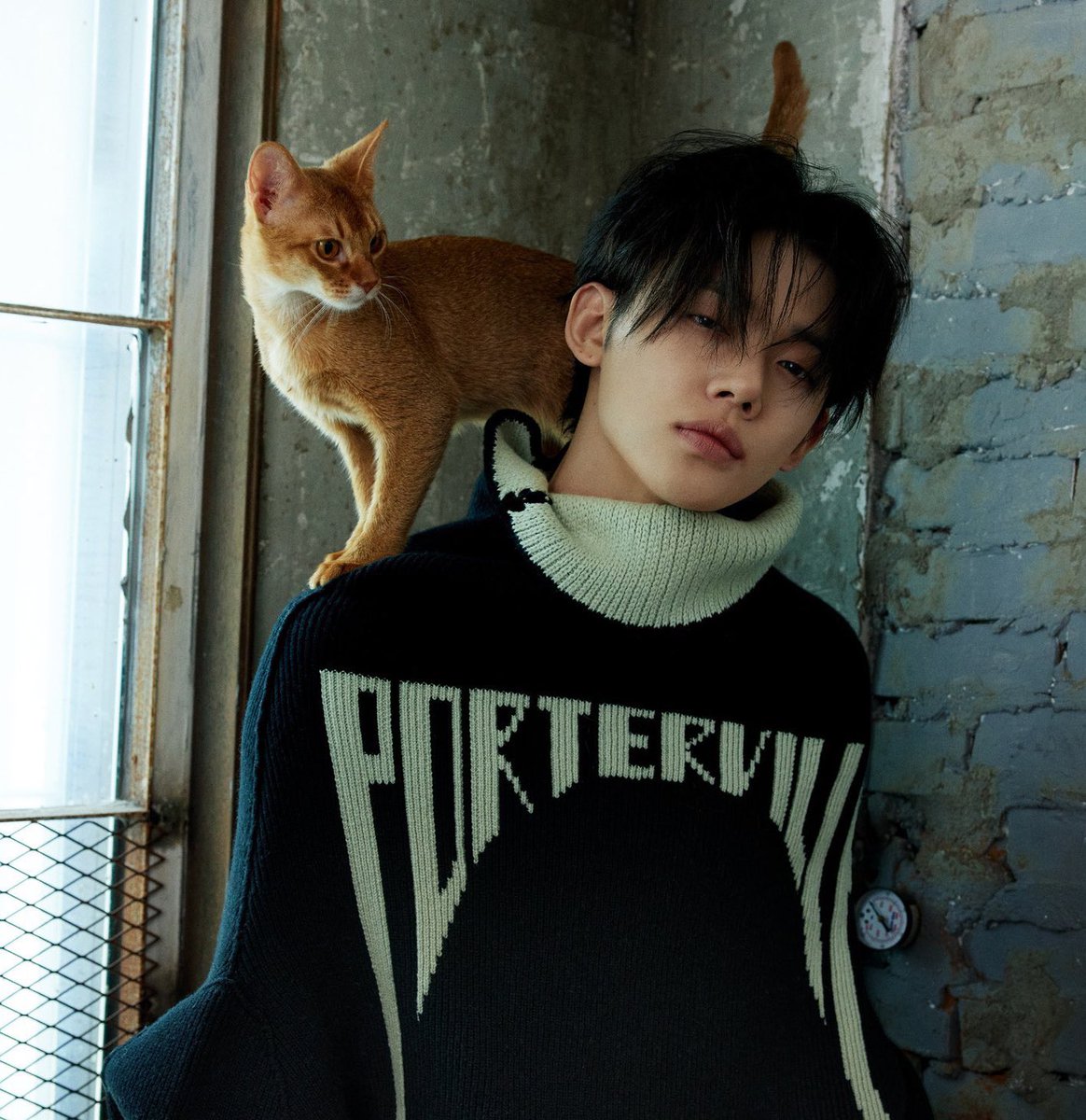 yjn and his kitty hybrid boyfriend tyvn