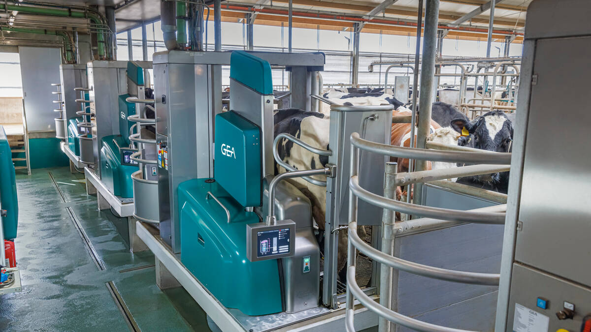 FarmGea's tweet image. Choose the GEA DairyRobot R9500 with 0% finance available (T&amp;amp;Cs apply). THE GOLD STANDARD IN MILKING ROBOTS
Call Roy Clarke at GEA on 00353 87 6813268  #TeamDairyRobot  #DairyRobotR9500