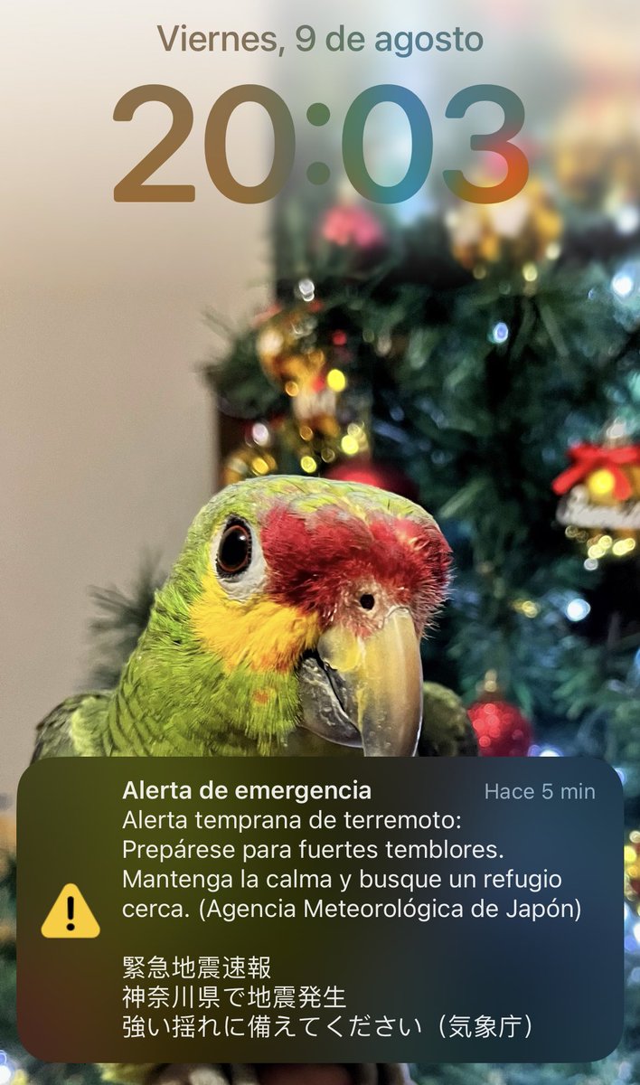 Cindy_Popliteo's tweet photo. 😭🇯🇵 Mi primera vez en #Japon #Odaiba y alerta de terremoto 😭🇲🇽 te extraño #Cuernavaca #Mexico , bueno al menos ya puedo decir que me tocó un temblor fuera de MX 🥹 https://t.co/NgrwKhoI2U