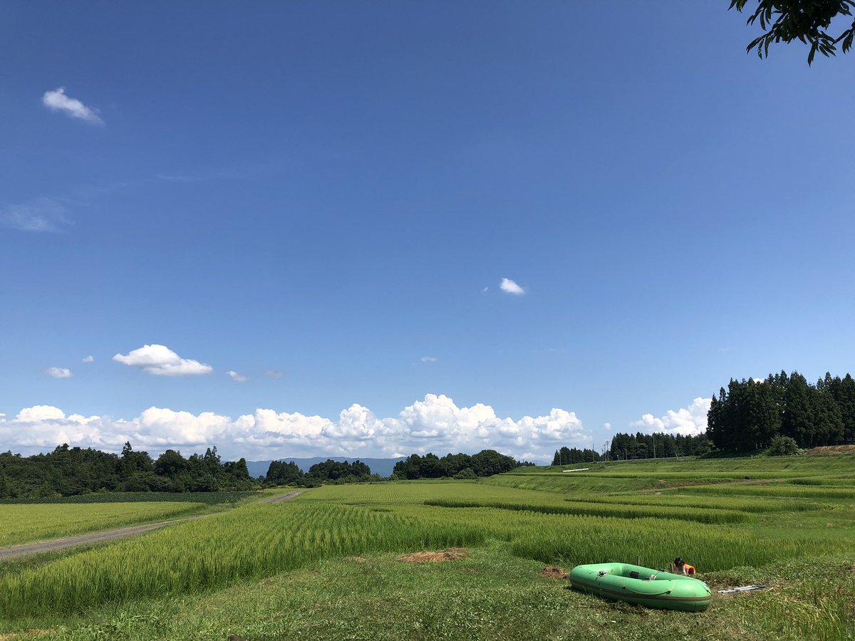 Ike_ic3's tweet photo. お久しぶりです！
2回の草刈りの後
本日8/9に生物観察会を行いました
・ゴムボートでため池の中央での生物採集
・田んぼの水路でのガサガサ
・繁茂したヒシを間引き(？)
・アメリカザリガニの駆除
この4つを中心に行いました https://t.co/HObwMjfme5