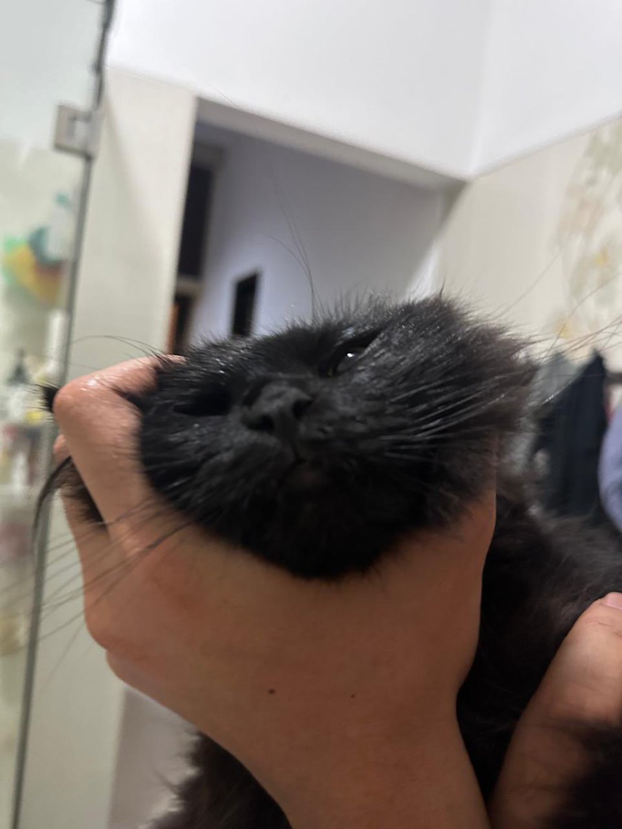 Otw kasih paham stumini siapa yg berkuasa atas perintah mislodi