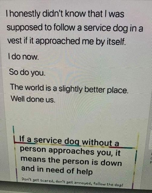 Papa Woof und Krampus und Bleaken (@woofknight) on Twitter photo 