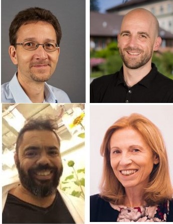 NicoBlanco (@nicoeblanco) on Twitter photo Great News from <a href="/snsf_ch/">Swiss National Science Foundation</a> !!! Our Project "Evolutionary conserved regulation of energy homeostasis" has been awarded #SPIRIT #CALL2023 @DengjelL (mammalian) @CDV1893 (yeast) <a href="/unifr/">Uni Fribourg</a> <a href="/NicoEBlanco/">NicoBlanco</a> (plants) <a href="/CEFOBI_CONICET/">CEFOBI-CONICET-UNR</a> & <a href="/MIVaccaro/">Maria Ines Vaccaro</a> (liver) (1/3) Great News from <a href="/snsf_ch/">Swiss National Science Foundation</a> !!! Our Project "Evolutionary conserved regulation of energy homeostasis" has been awarded #SPIRIT #CALL2023 @DengjelL (mammalian) @CDV1893 (yeast) <a href="/unifr/">Uni Fribourg</a> <a href="/NicoEBlanco/">NicoBlanco</a> (plants) <a href="/CEFOBI_CONICET/">CEFOBI-CONICET-UNR</a> & <a href="/MIVaccaro/">Maria Ines Vaccaro</a> (liver) (1/3)