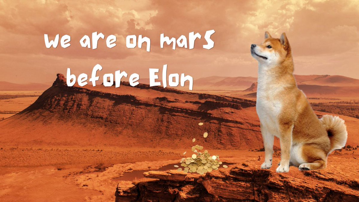 aguri_eth's tweet photo. $AGURI 

@elonmusk https://t.co/vrIyElQFbM