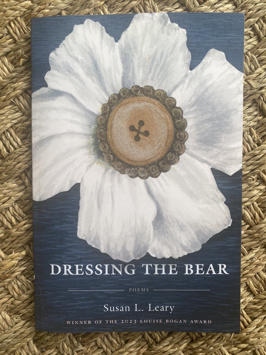 litwindowpane's tweet image. DRESSING THE BEAR by the wonder that is Susan L. Leary! 

@susanlleary
#thesealeychallenge