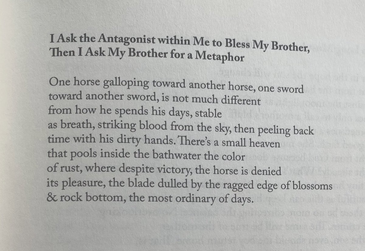 litwindowpane's tweet image. DRESSING THE BEAR by the wonder that is Susan L. Leary! 

@susanlleary
#thesealeychallenge