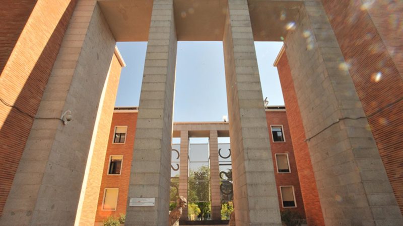 CSICdivulga's tweet image. 💡 La red #AlumniCSIC busca potenciar el vínculo del @CSIC con todas aquellas personas que han formado parte de la institución en algún momento. ¿Te apuntas? 👉 alumni.csic.es/descubre-alumn…
📽️ Descubre en nuestro canal de Youtube #LasVidasdelCSIC ▶️ youtube.com/watch?v=aMYwB5…