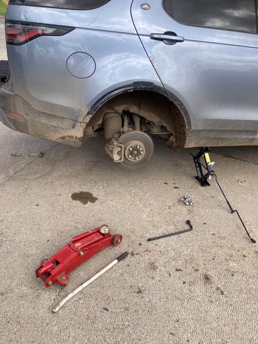 Sean Lumley tweet media