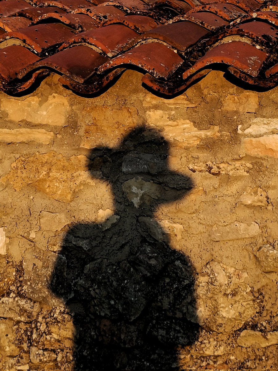 Photographyto8's tweet photo. Los sombreros son para el verano
#lossombrerossonparaelverano https://t.co/Hn9GI7zpm2