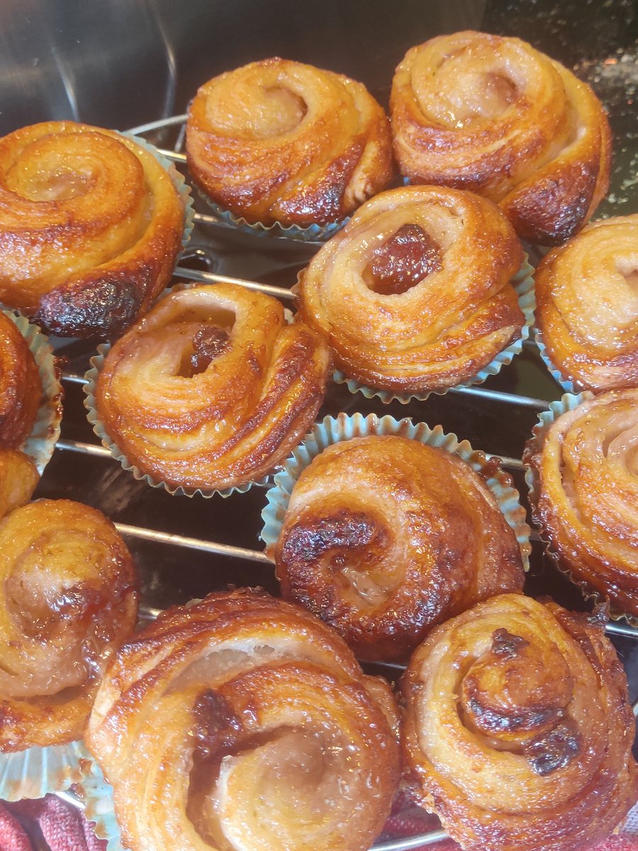 Dr Viviane Gravey tweet media