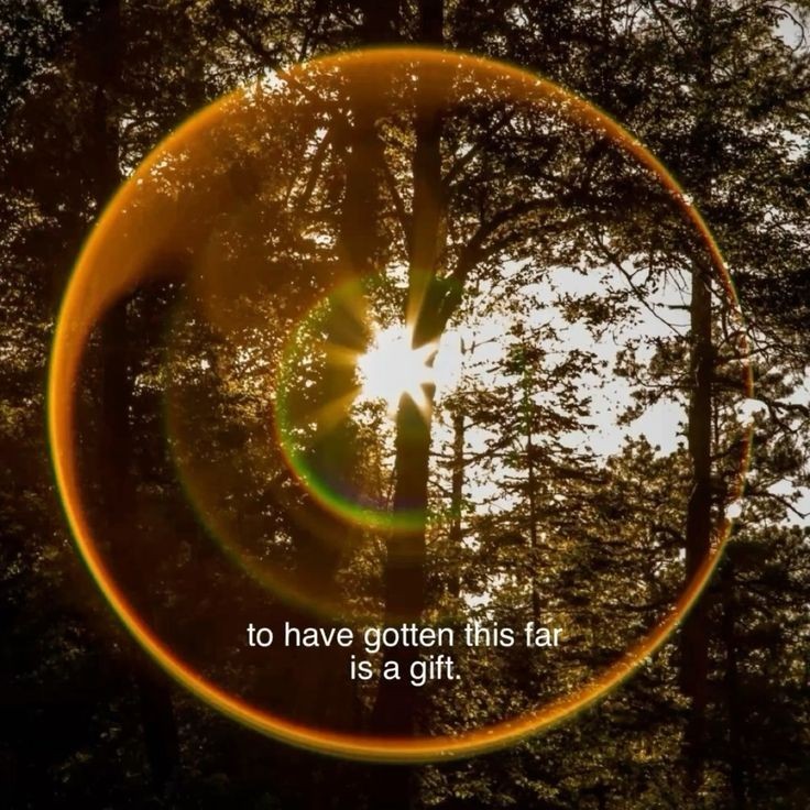 Lovandfear's tweet image. 