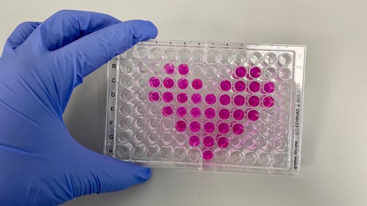 Aitken Lab (@aitken_lab) on Twitter photo It was a pleasure to host one of these talented #AspiringScientists in the <a href="/aitken_lab/">Aitken Lab</a>!
She was supervised by our PhD student Hashim <a href="/_HAN1999/">Hashim Ahmed Nur</a>, and did experiments, analysed data, and gave a fantastic talk at the end of the week. The future is in great hands 👩🏾🔬 It was a pleasure to host one of these talented #AspiringScientists in the <a href="/aitken_lab/">Aitken Lab</a>!
She was supervised by our PhD student Hashim <a href="/_HAN1999/">Hashim Ahmed Nur</a>, and did experiments, analysed data, and gave a fantastic talk at the end of the week. The future is in great hands 👩🏾🔬