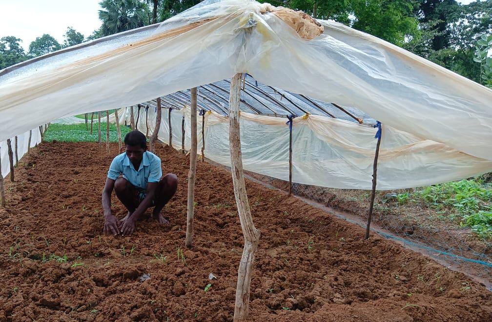 YCDAOdisha's tweet photo. 🚜 Exciting developments in Bolangir! The APC project is partnering with local farmers to double their income through innovative interventions. Stay tuned for updates on this journey toward sustainable growth! 🌾 #APCProject #Bolangir #Farmers #Agriculture https://t.co/Bjn1Zu4jLa