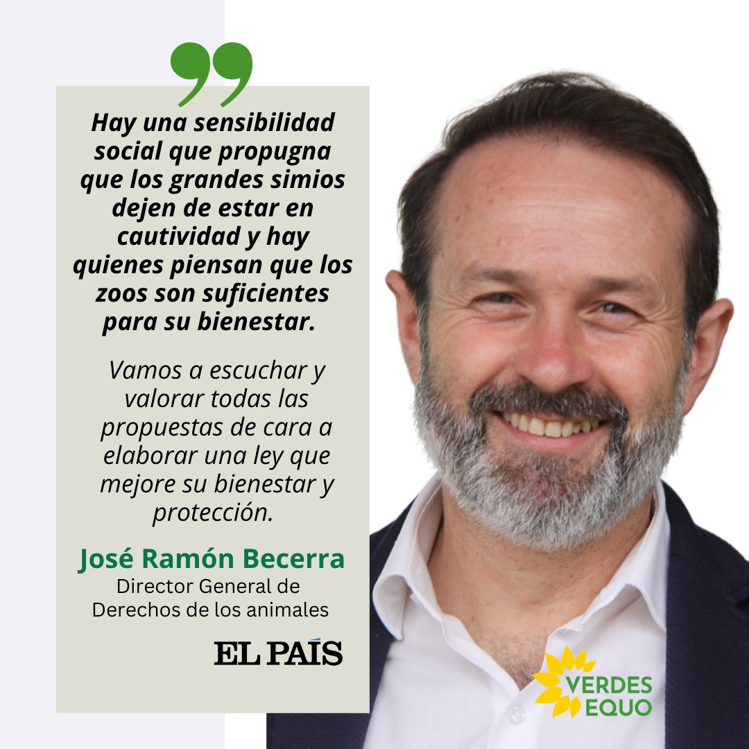 Los grandes simios merecen un trato acorde a su carácter e inteligencia

Nuestro compañero <a href="/JoserraBecerra/">Joserra Becerra 🌻</a>, director general de @animalesgob, ha lanzado una consulta para hacer una ley que mejore su bienestar. Lo cuenta vía <a href="/esthersalu/">esther sánchez</a>, en <a href="/elpais_eco/">Clima y Medio Ambiente</a> 👇
 elpais.com/clima-y-medio-…