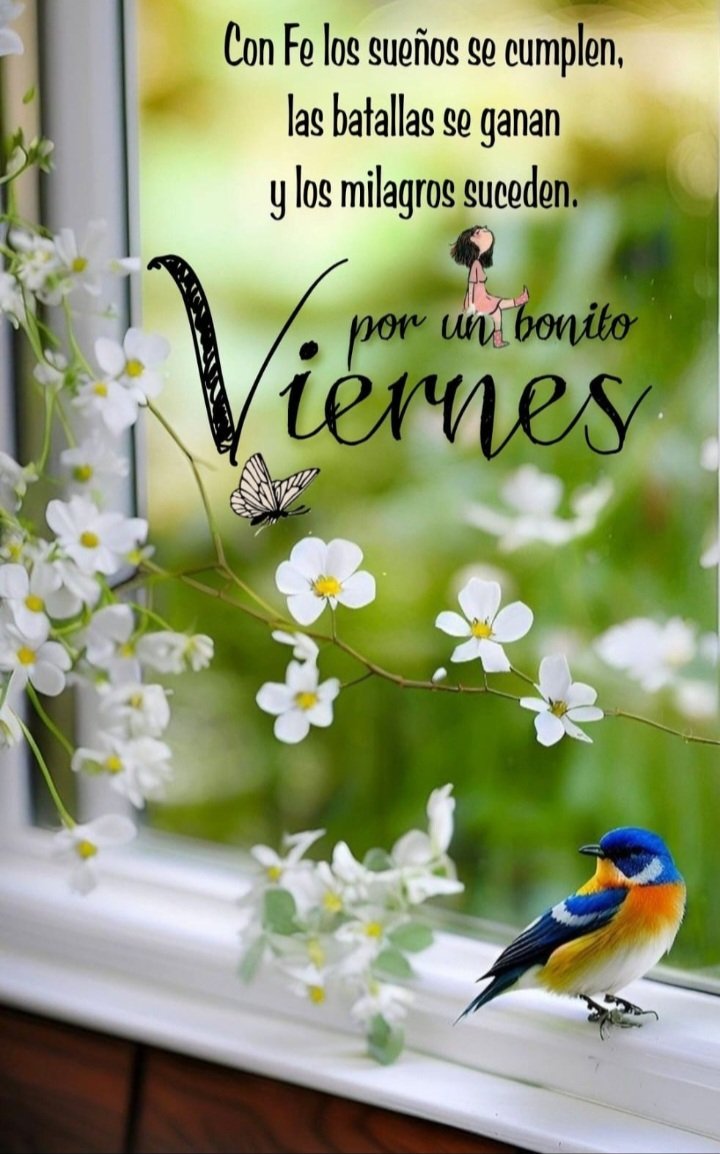 ☄🌺Fatigoncalvez lusolana☄🌺 (@fatigoncalvez) on Twitter photo 