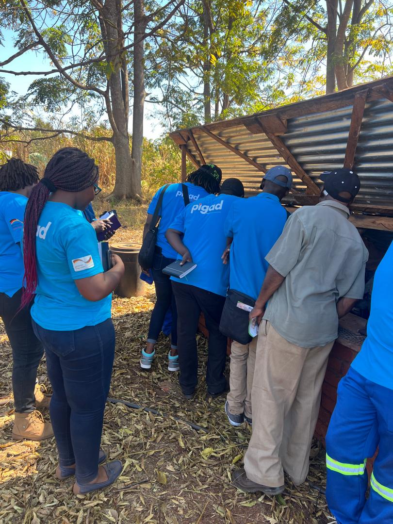 PigadZimbabwe's tweet photo. Digging deep into sustainable farming practices with the team at @FfFarmingZim . Vermicomposting is the future! This natural process uses earthworms to turn organic waste into nutrient-rich compost, enriching the soil and stimulating plant development. https://t.co/LsLrkcot2C