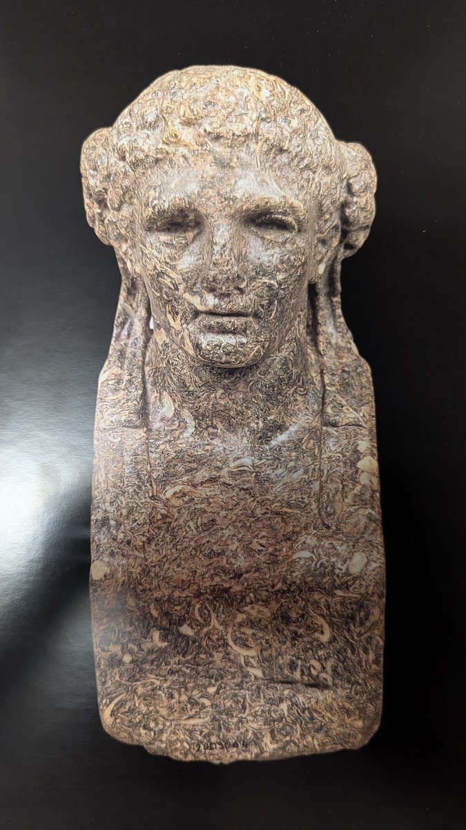 Entre los materiales pétreos que utilizaron los romanos en arquitectura y decoración uno de los más espectaculares es la "lumachella orientale", una roca calcárea formada por fósiles de conchas. 

El mar en piedra 

Herma de Heracles, S.II
Museo Nazionale Romano