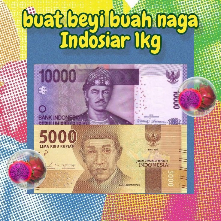 wiirnwin's tweet photo. @jweemint hallo FR3SH, aku mau beli semua yg di jual ya (melon, semangka, pepaya, pisang, buah naga, jeruk balo, jeruk cewe ini uangnya~! https://t.co/3nA13N1RiO