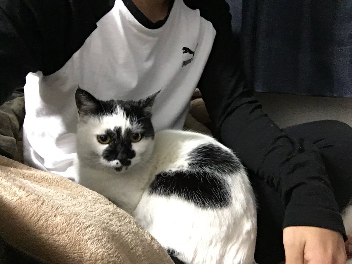 18Sicks's tweet photo. @aimyonGtter まめちゃんです！！！ https://t.co/Mp4PISV95U