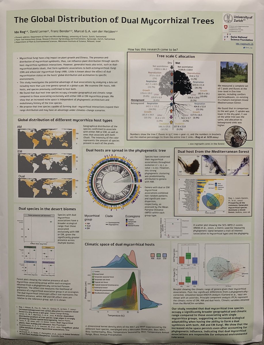 Research by <a href="/ido_rog/">Ido Rog</a> ⁦<a href="/vandeHeijdenLab/">van der Heijden Lab</a>⁩ shows that dual mycorrhizal trees are more ecologically flexible in climate space at the global scale. 

Looking forward to seeing this work in print!

#ICOM12 <a href="/ICOM_12/">12th International Conference on Mycorrhiza 2024</a>