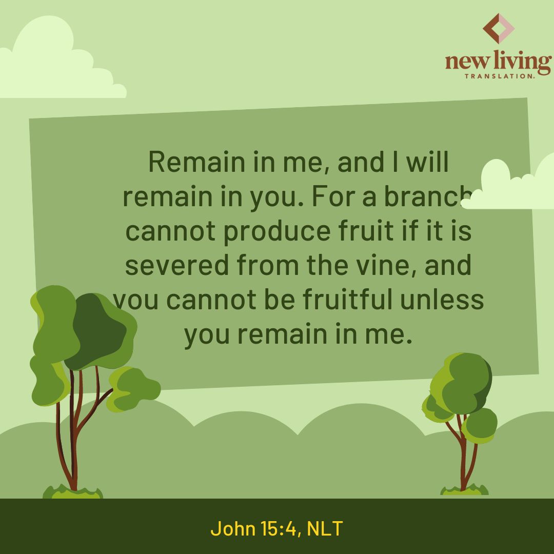 NLTverse's tweet photo. "Remain in me, and I will remain in you. For a branch cannot produce fruit if it is severed from the vine, and you cannot be fruitful unless you remain in me." John 15:4, NLT

#NewLivingTranslation #NLTBible #Bibleverse #Bibleverses #Biblestory #Biblestories https://t.co/ttJmNdmLbm