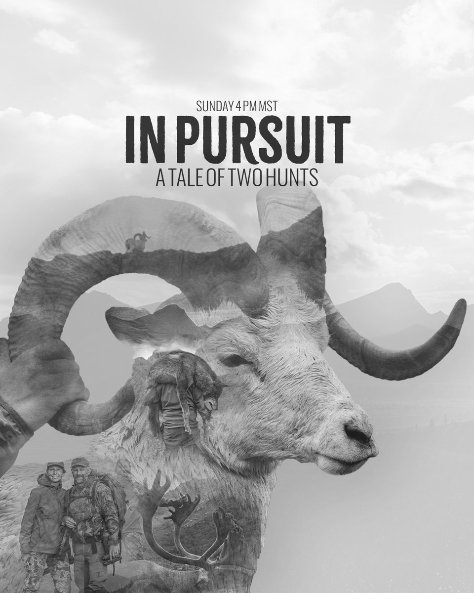 weatherbyinc's tweet photo. Hunting is about continuing the relentless pursuit no matter the adversity you face. This film embodies what it takes to hunt in the backcountry and find success even when the odds appear slim.

Watch on YouTube this Sunday at 4 pm MST to watch "In Pursuit: A Tale of Two Hunts" https://t.co/O07ezPSbFg
