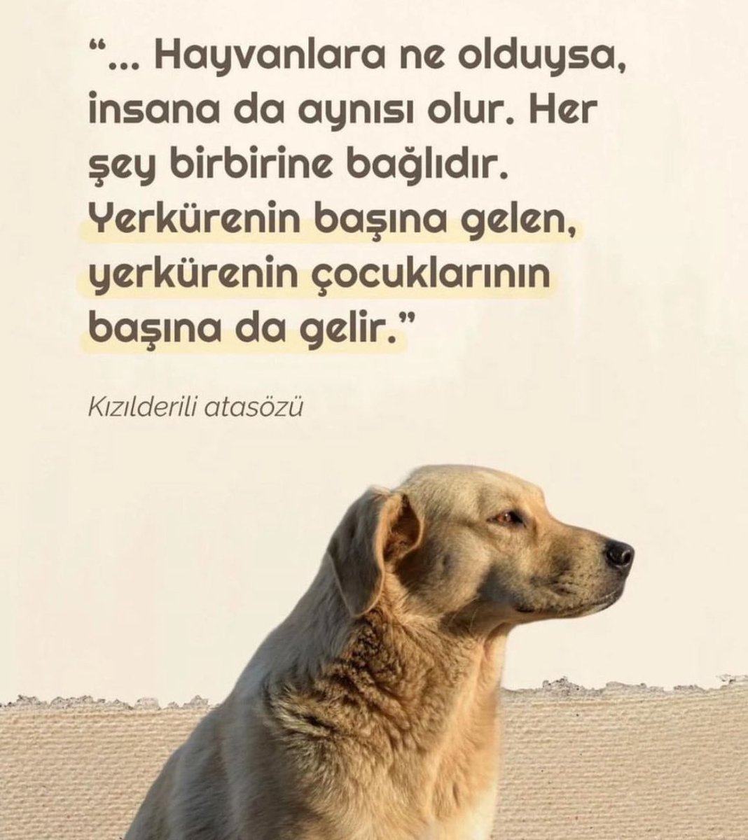 #AltindagdaKatliamVar 
#altindagbelediyesi