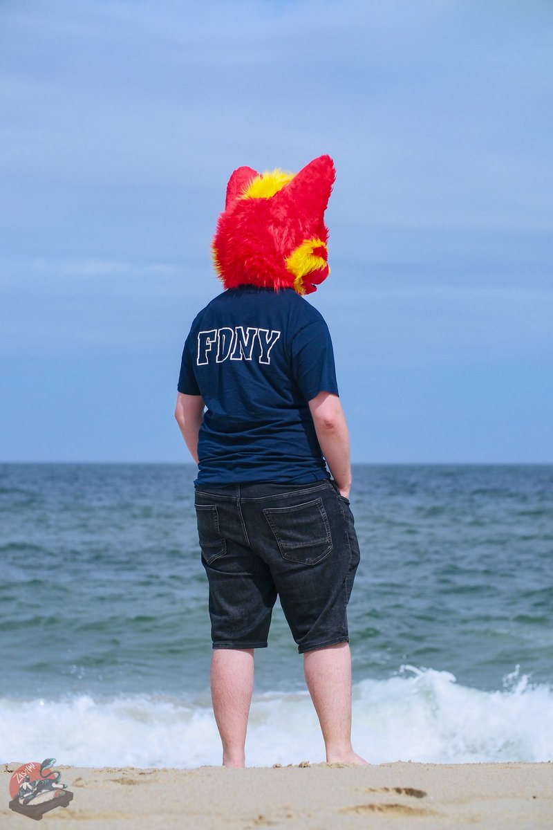 Love this picture of enjoying the waves at the Atlantic coast. Should we have a beach day?
#FursuitFriday 
📸 @BluLeggy