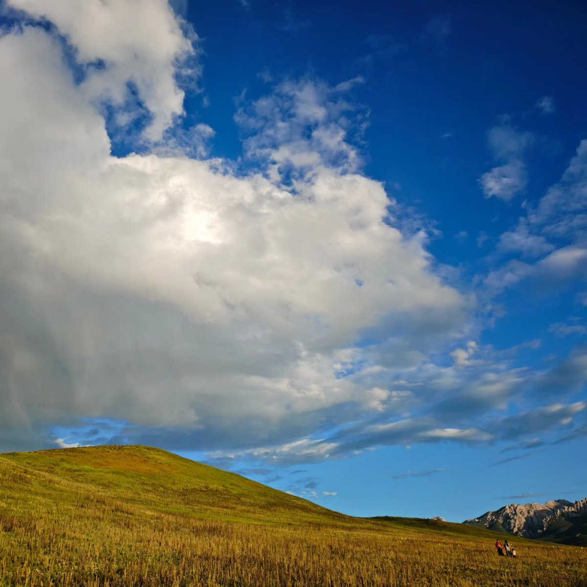 都说秋天适合思念🍃
其实秋天更适合见面🍂
