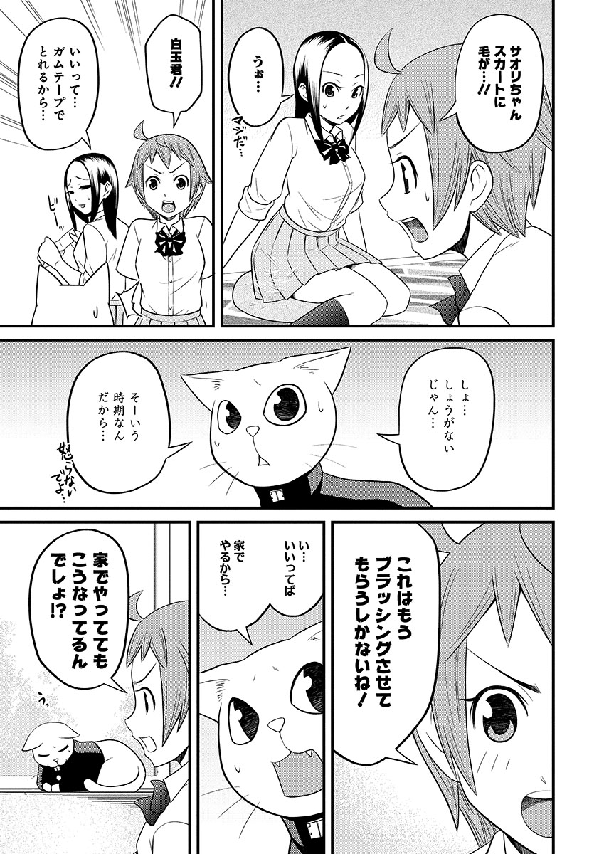 女子にブラッシングされるのが恥ずかしすぎる猫 2/3 