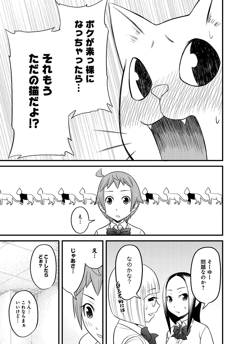 女子にブラッシングされるのが恥ずかしすぎる猫 3/3 