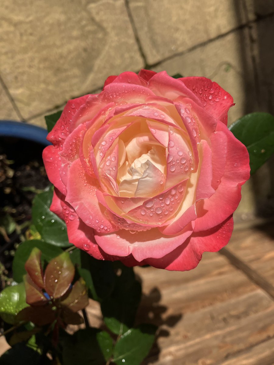 Ellessjay tweet media