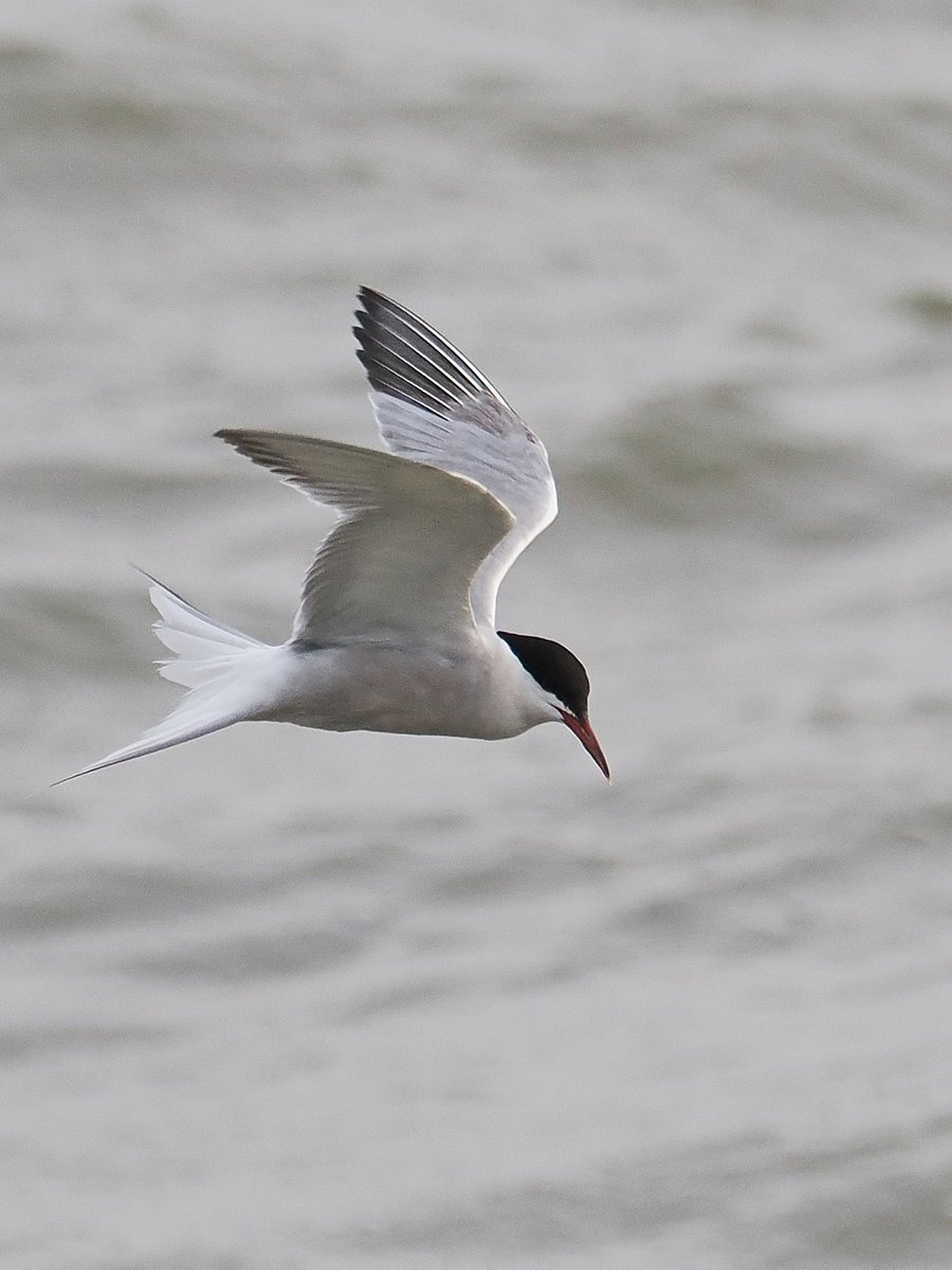 andy taylor tweet media