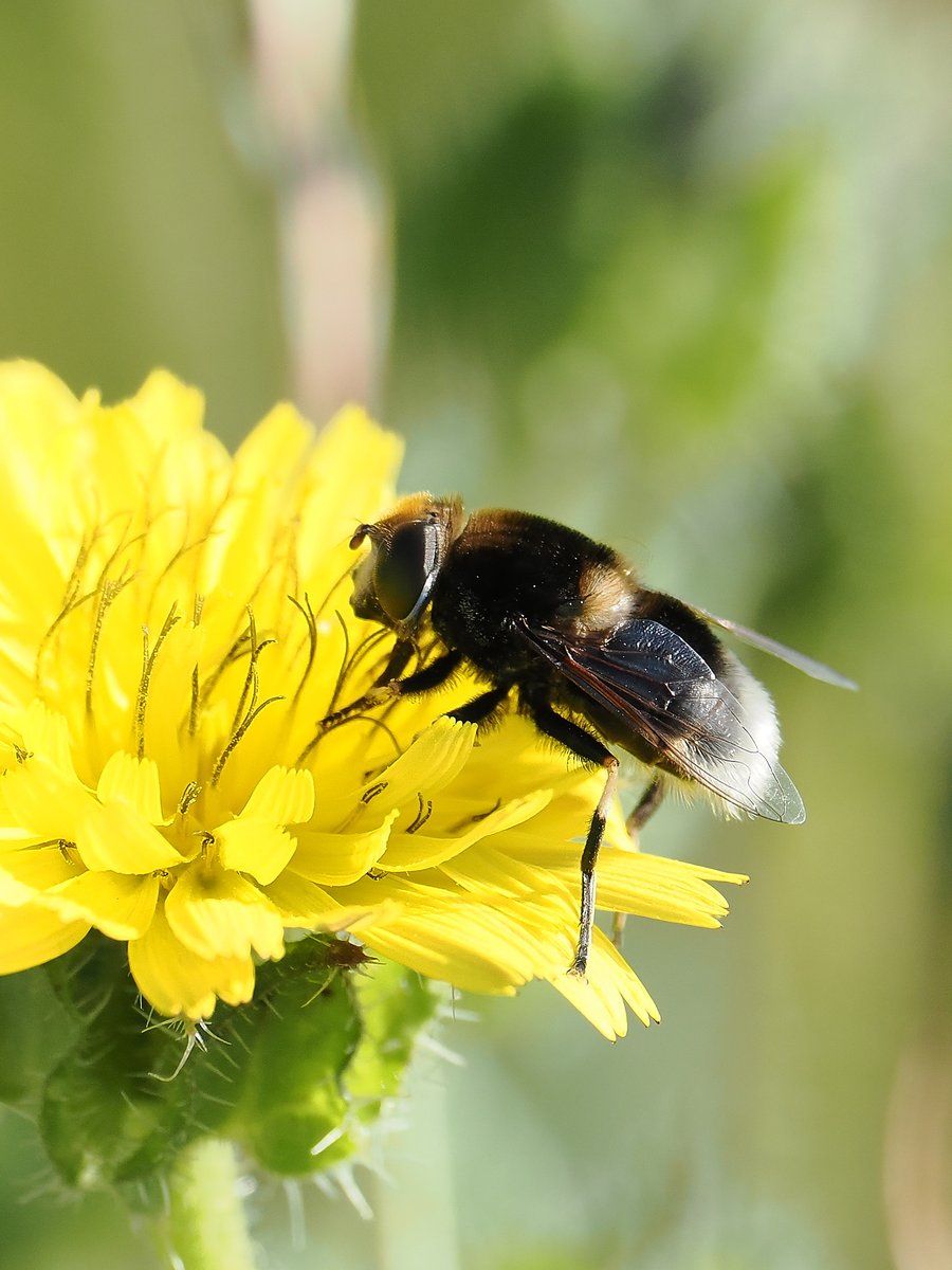 andy taylor tweet media