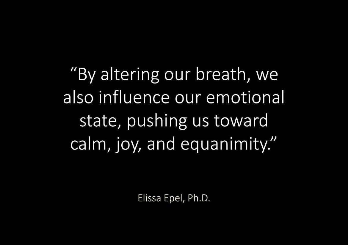 I'm 28.

Stress &amp; anxiety controlled me for years until I discovered breathwork.

After 4+ years studying nervous system specialists, scientists &amp; elite athletes, my toolbox is full of breathwork hacks.

Here's my top 4 techniques you can use anytime, anyplace to return to calm: