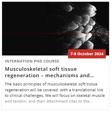 PhD Programme #MUSKOS 🎓 (@muskos_phd) on Twitter photo Deadline for the next #MUSKOS PhD-course is approaching: Still open spots
Welcome back from the summer break. Make sure to sign up for this course led by <a href="/AbigailMackey1/">Abigail Mackey</a>
Sign up + more info here: phdcourses.ku.dk/DetailKursus.a… Deadline for the next #MUSKOS PhD-course is approaching: Still open spots
Welcome back from the summer break. Make sure to sign up for this course led by <a href="/AbigailMackey1/">Abigail Mackey</a>
Sign up + more info here: phdcourses.ku.dk/DetailKursus.a…