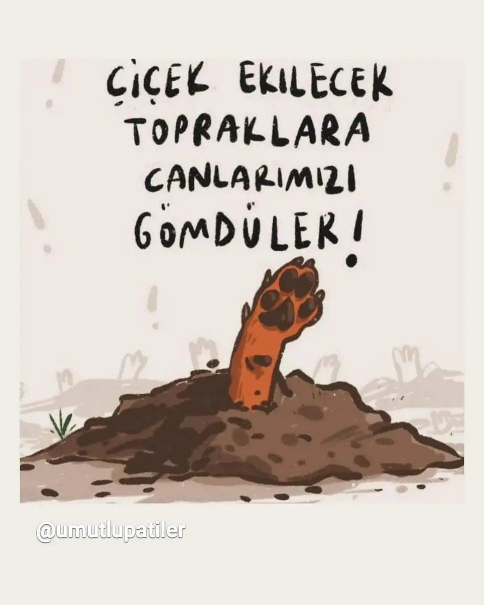 Vicdansızlar!!!!
#SokakHayvanlariSahipsizDegildir 
#YasaDeğilCinayet 
#YasayiGeriCek