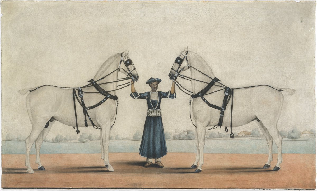 heartefact's tweet image. we admire horses and distant places… 🐎