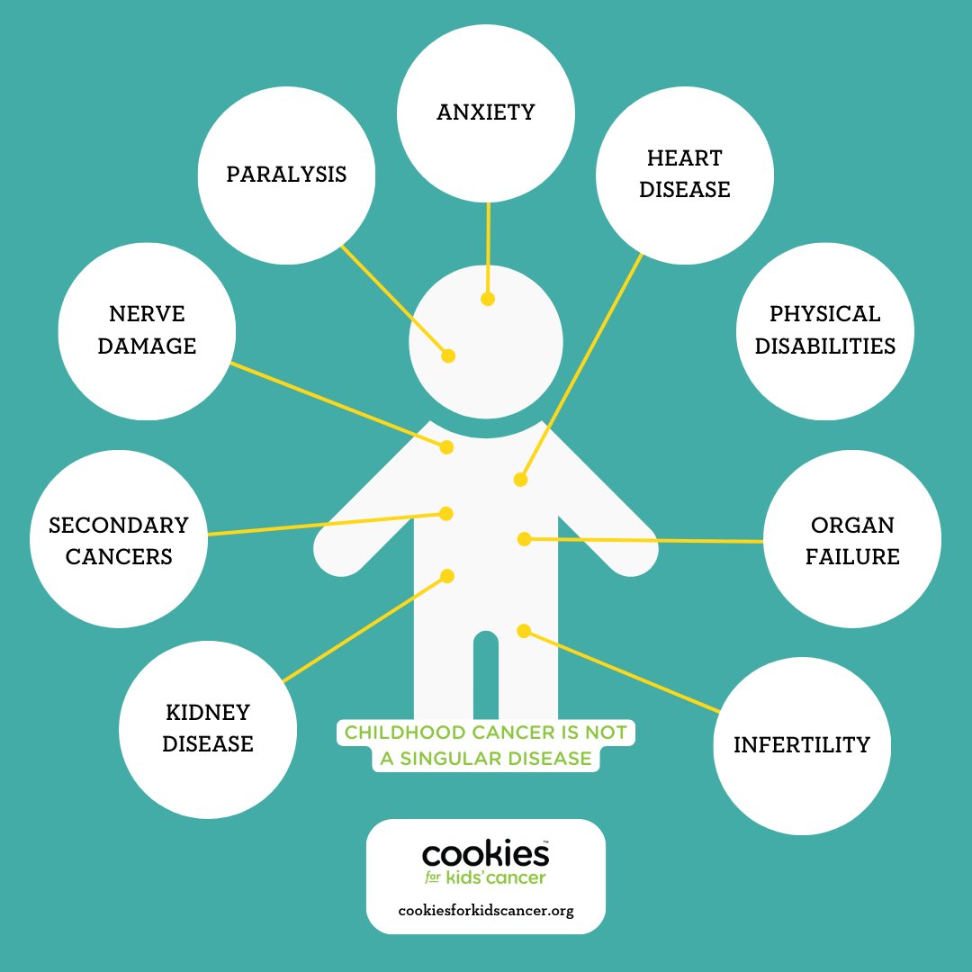 #DidYouKnow childhood cancer treatments can lead to significant long term side effects? 😲
Here are some of the ways children can be impacted by treatments. bit.ly/childhoodcance…
.
#CookiesforKidsCancer #C4KC #ChildhoodCancerAwareness #Facts #ChildhoodCancer