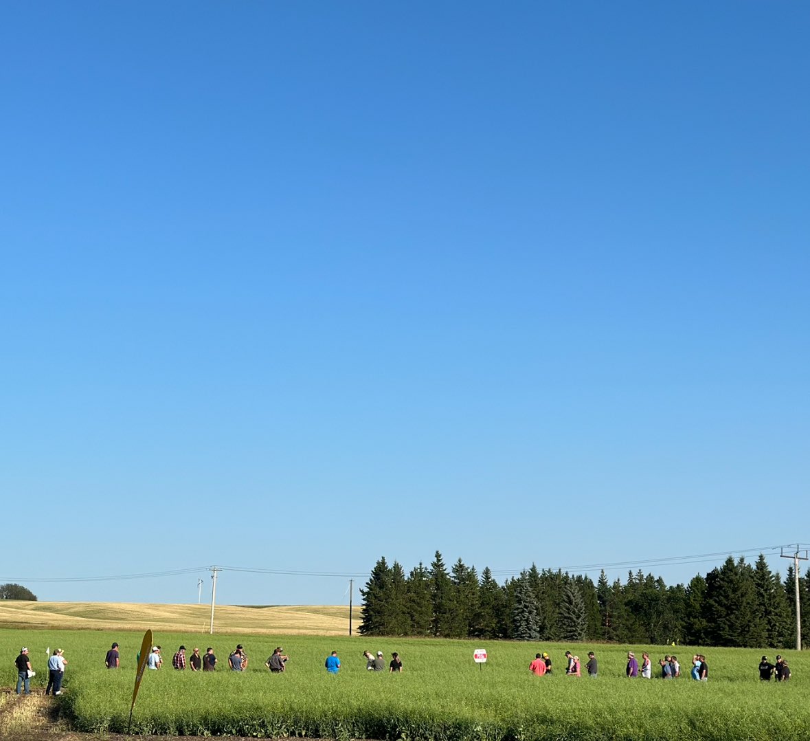 It was a beautiful night for a plot tour showcasing the best of <a href="/PioneerSeedsCA/">Pioneer Seeds Canada</a> . Thank you to all our wonderful customers. You are the reason <a href="/DwayneAndrashew/">Dwayne Andrashewski</a> and I love what we do.
