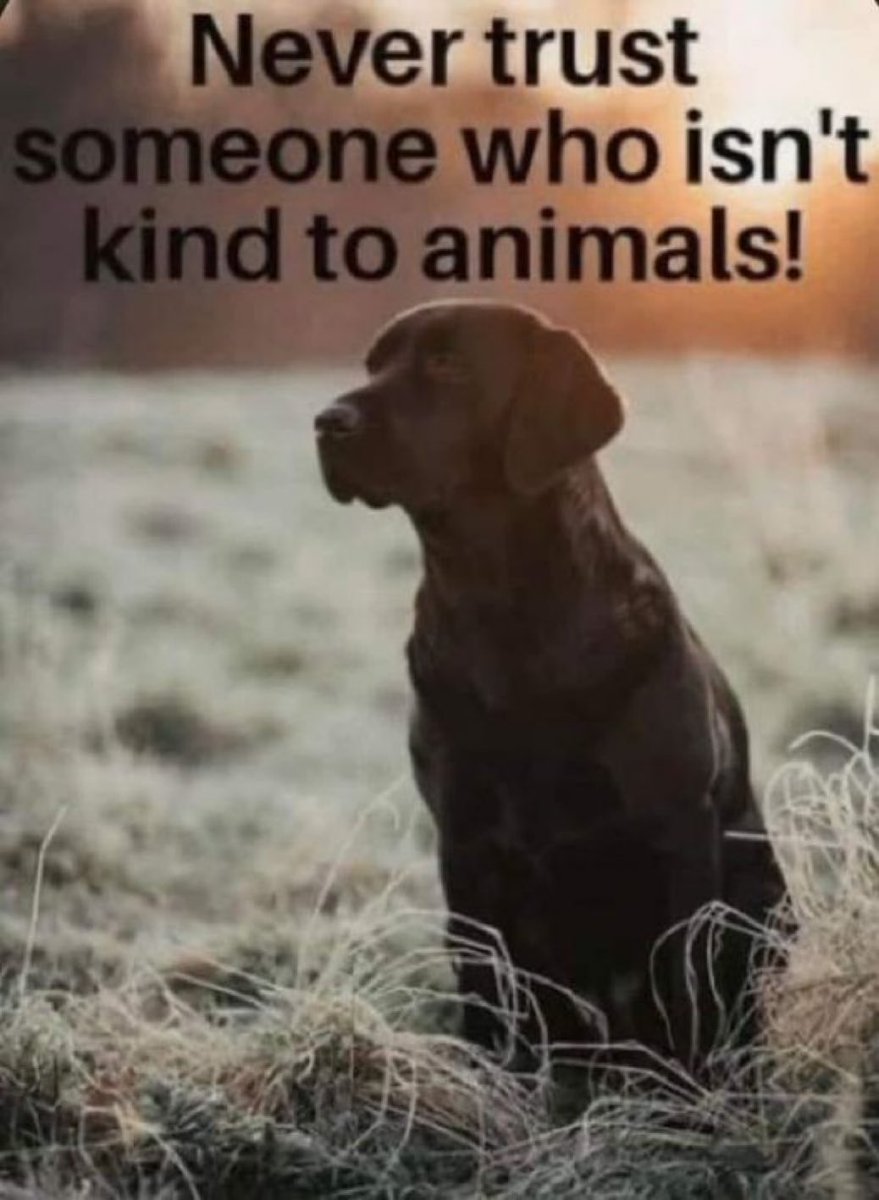 Phil Sledge tweet media