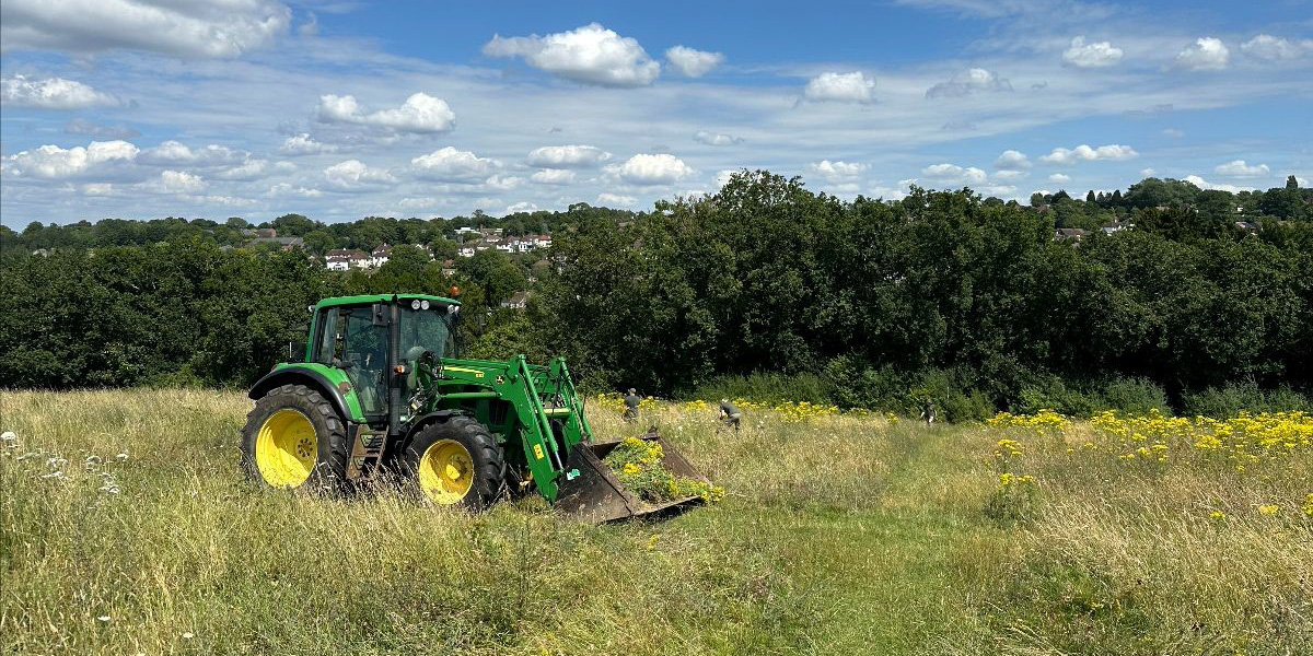 HeritageClsdn's tweet photo. Two more 'mega tasks,' bringing together volunteers, locals, and corporate volunteer groups for large-scale #ragwort pulling sessions on #FarthingDowns on 12 and 29 August. More information in this month's #CoulsdonCommons newsletter https://t.co/gScOyN0Wl5 https://t.co/bcldfhQYnd