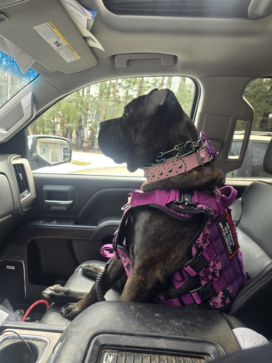 My girls going up... how's everyone been