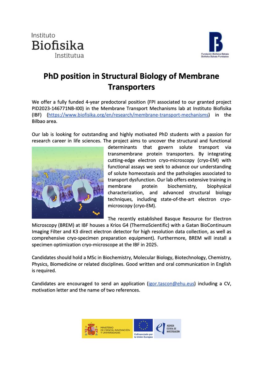 We are looking for a PhD student to work on Structural Biology of Membrane Transporters at Instituto Biofisika in the Bilbao area (shorturl.at/hVudg)
Apply if you are enthusiastic about working at the leading edge of structural biology
#PhDposition #cryoEM #MembraneProteins