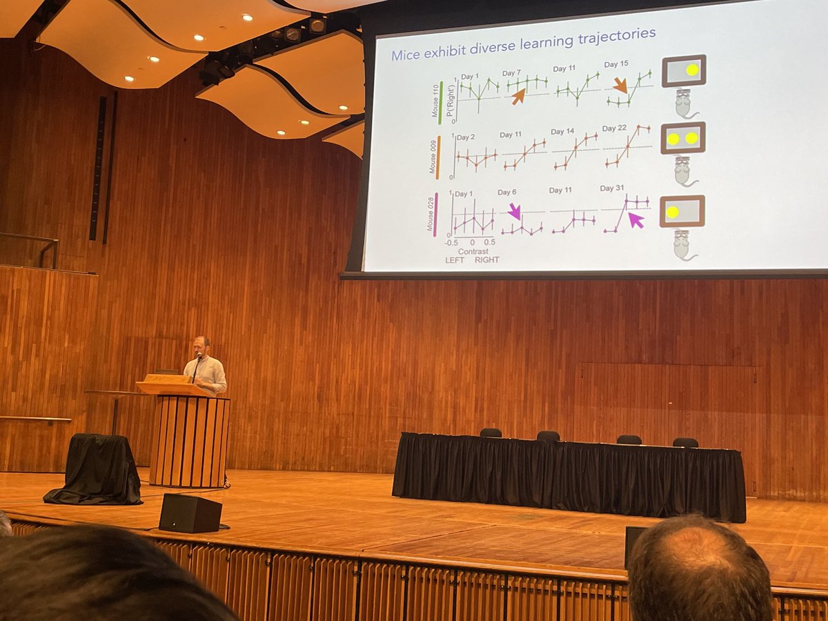 diedrichsenlab's tweet image. Beautiful talk by Andrew Saxe on non-linear learning dynamics at #ccn2024. Lucid explanation! @Saxelab