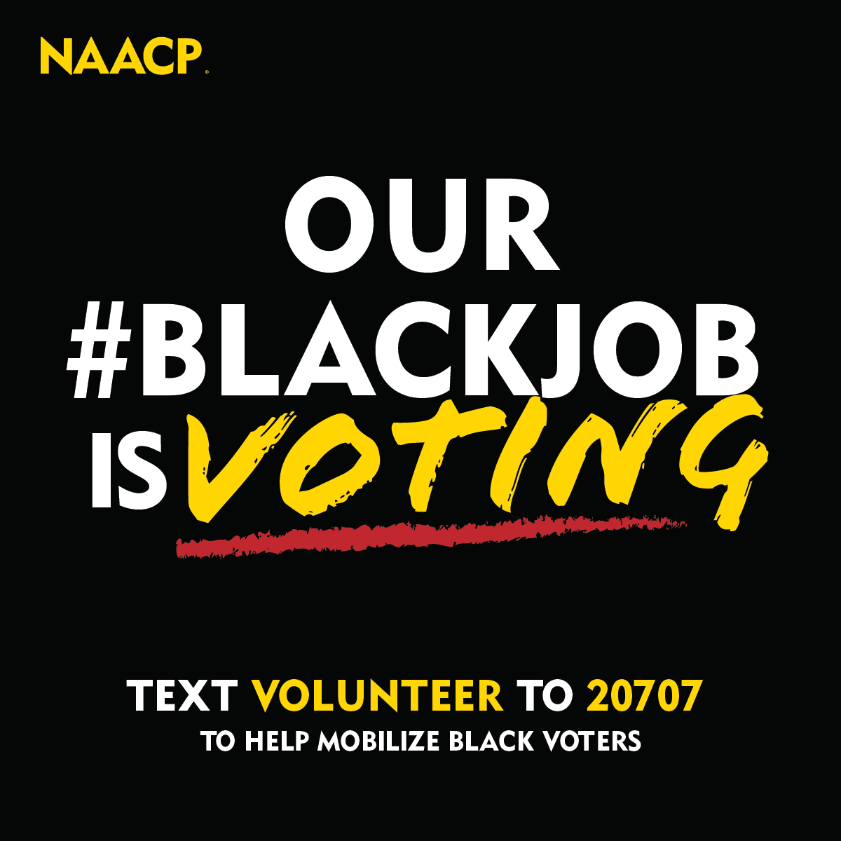 Project 2025 aims to undermine our progress and revert back to a time where we did not have a vote, or a voice. We will use both this election to  protect the Black community.  Learn how you can help: naacp.org/project2025 #Our2025